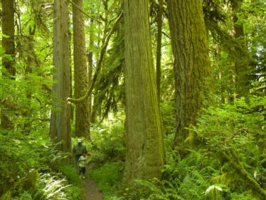 canemah bluff nature park